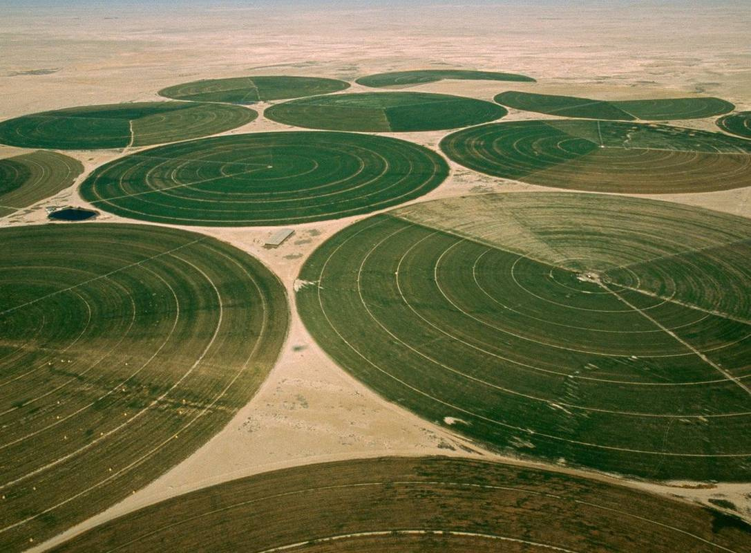 L’approccio del Qatar alla food security all’indomani dell’embargo del 2017