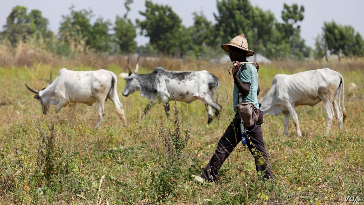 La lotta per le risorse naturali: lo scontro  Dogon-Fulani in Mali