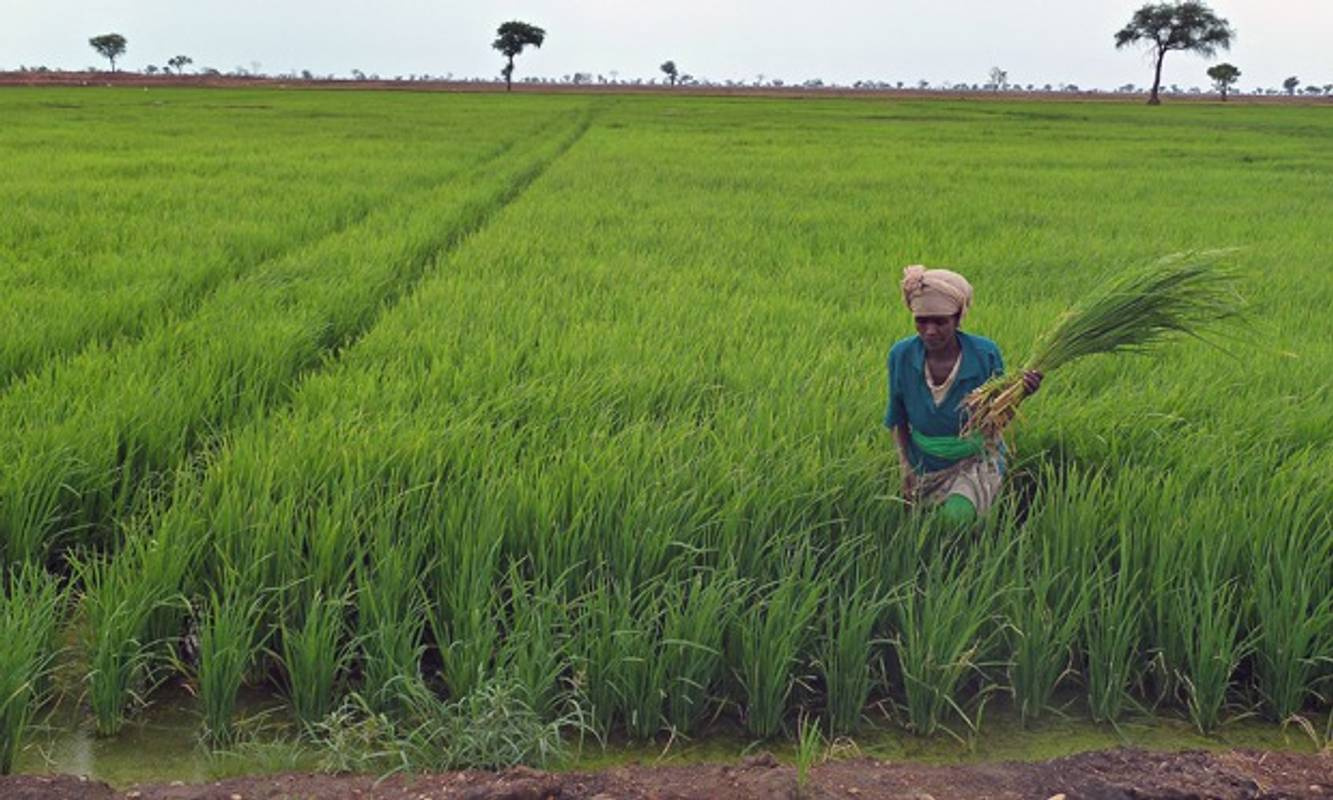 Il fenomeno del Land Grabbing etiope: opportunità e minacce legate a una nuova forma di colonialismo