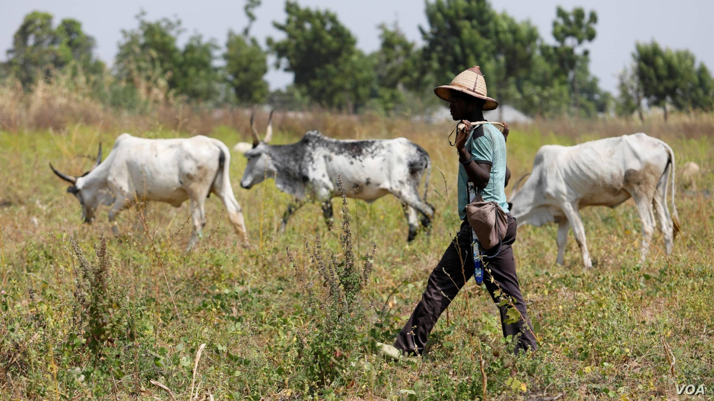 La lotta per le risorse naturali: lo scontro  Dogon-Fulani in Mali 