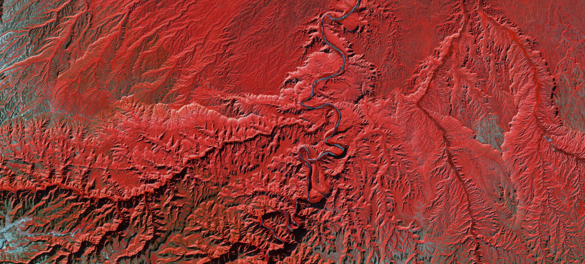 Programmi: Asia e Pacifico