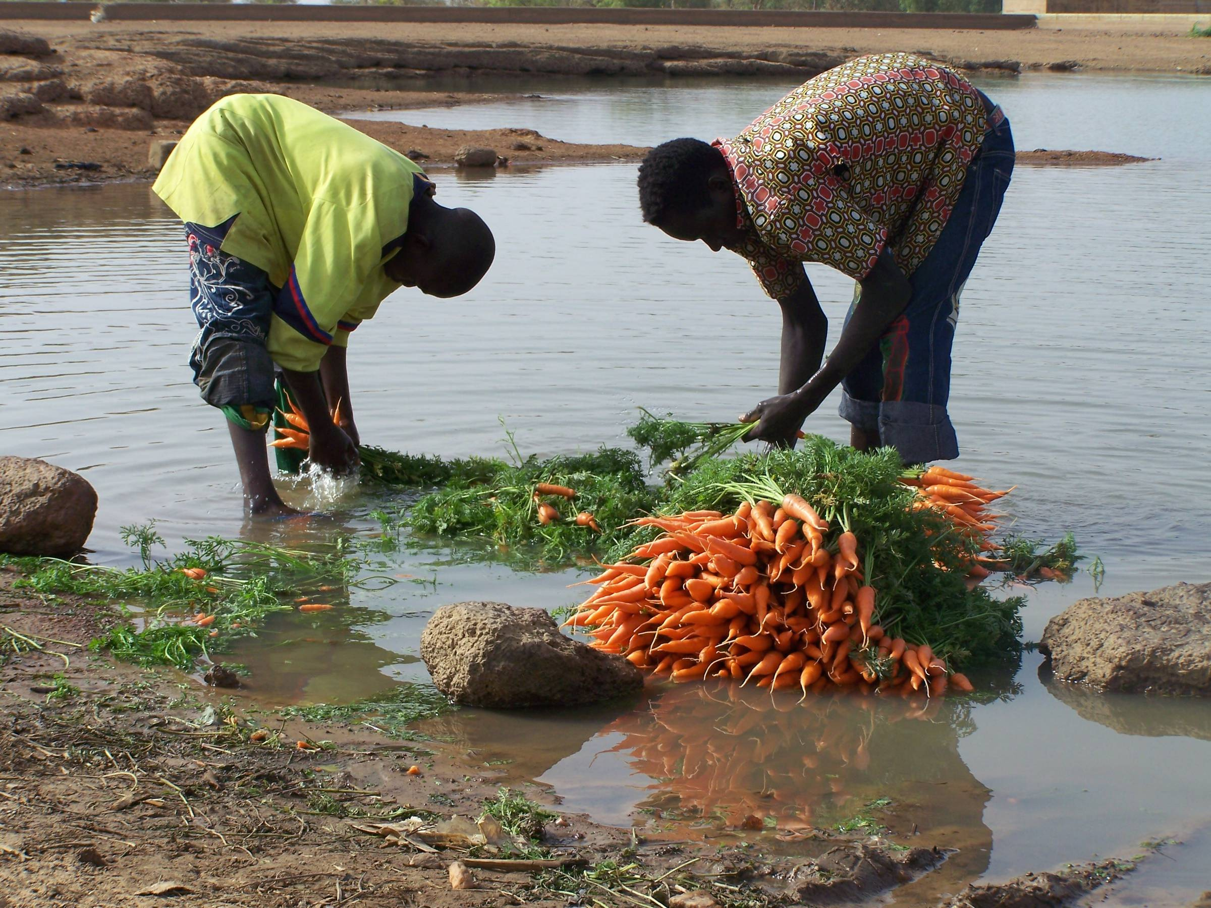 La centralità della Food Security nella stabilità politica