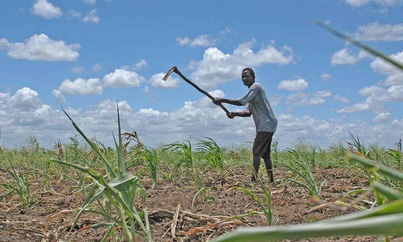 Il fenomeno del land grabbing in Africa, evoluzioni e prospettive