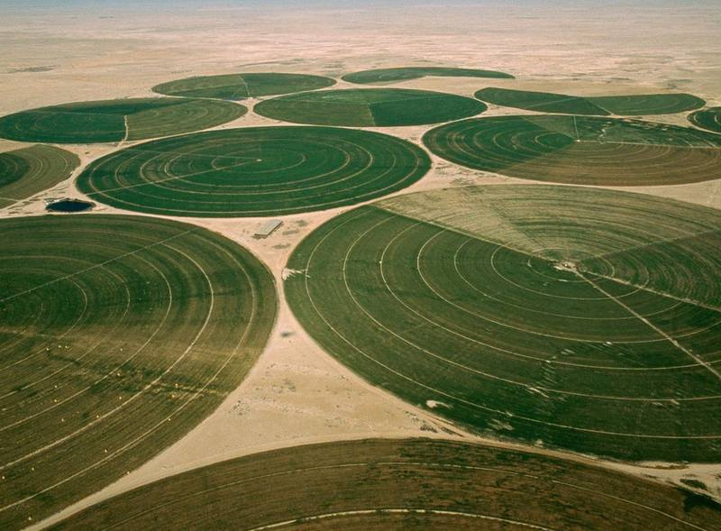 L’approccio del Qatar alla food security all’indomani dell’embargo del 2017