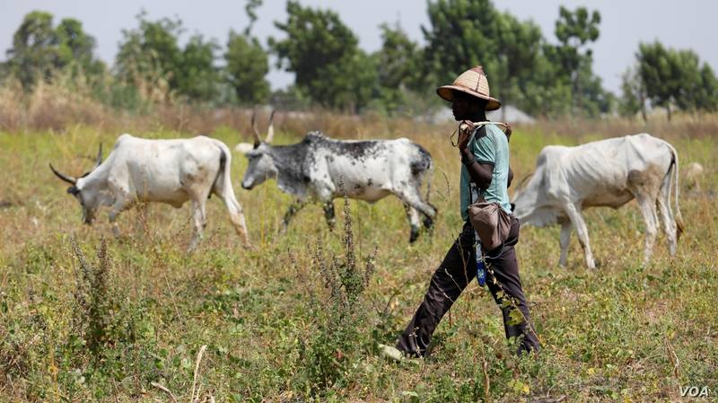 La lotta per le risorse naturali: lo scontro  Dogon-Fulani in Mali