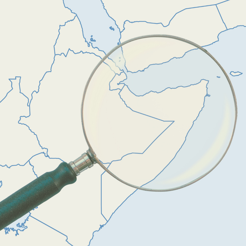Il Corno d’Africa al centro della rivalità tra Arabia Saudita ed Emirati Arabi Uniti