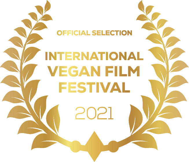 international film festival
