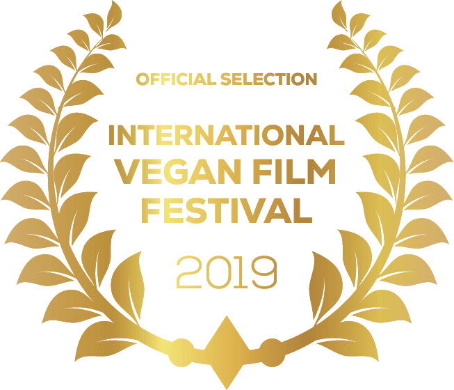 international film festival