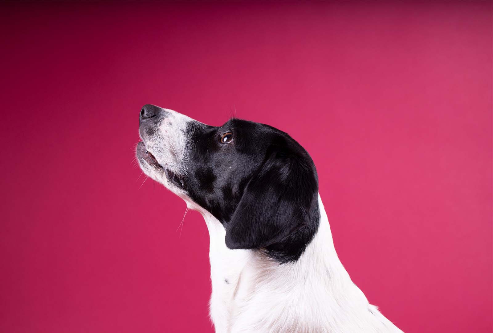  Aisling O’Sullivan  