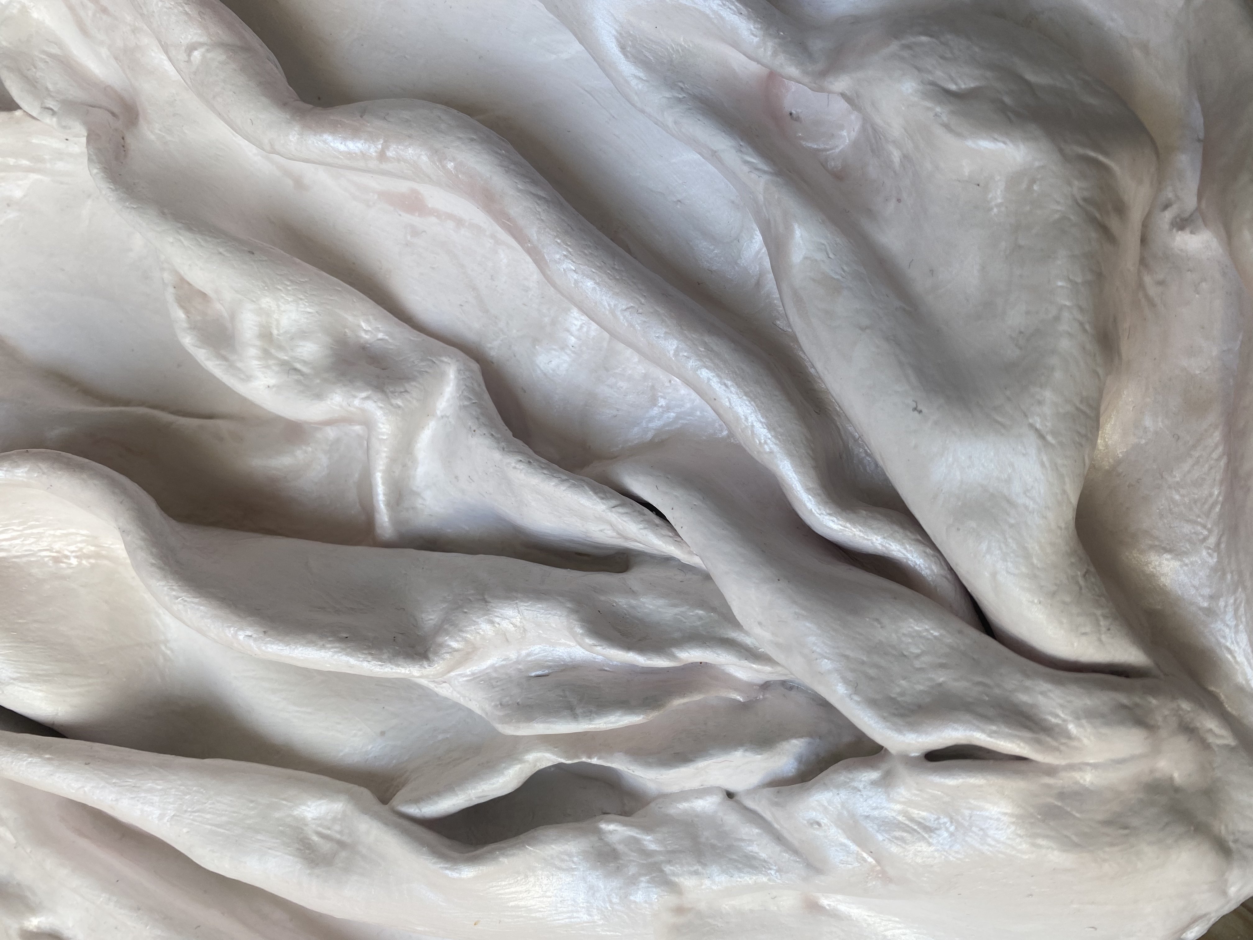 An image from the Touch  collection, titled Draped I