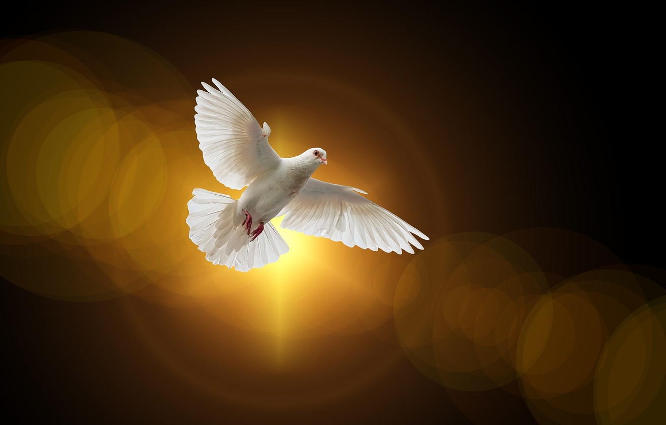 Header afbeelding voor een blog van de Goede Herder Parochie