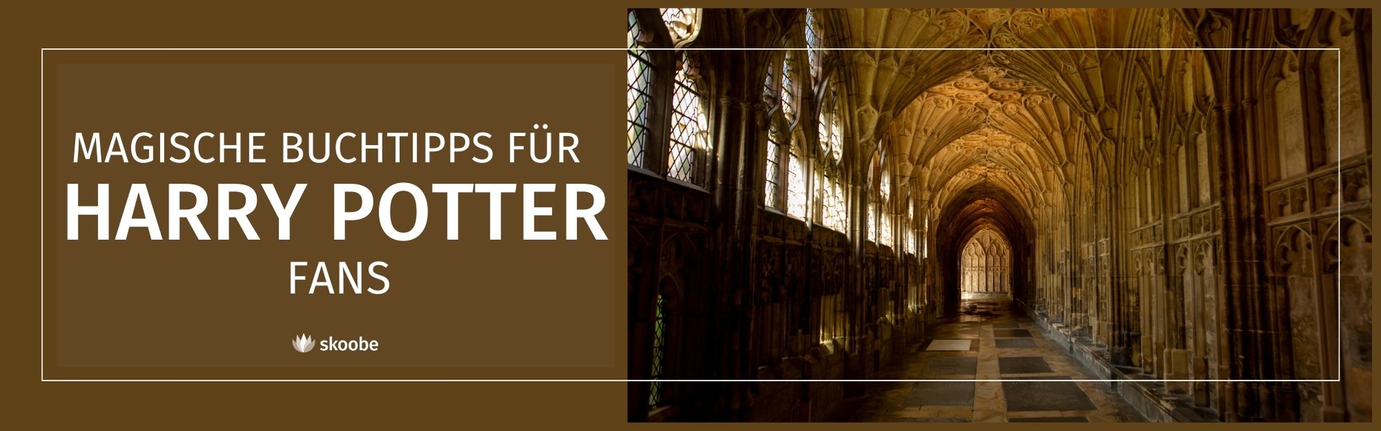 Ein langer, verschnörkelter Steinkorridor mit gewölbten Decken neben einem deutschen Text über magische Buchtipps für Harry-Potter-Fans.