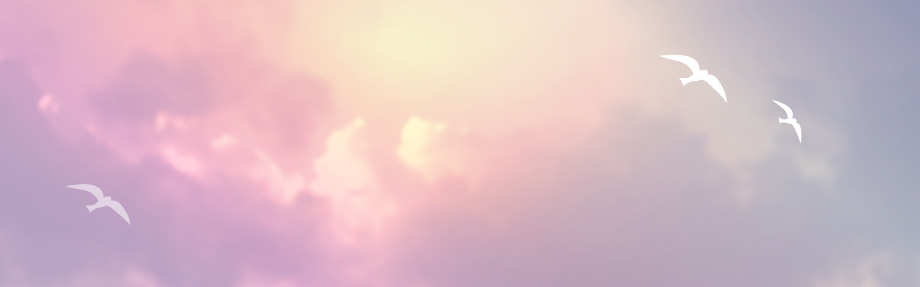 Drei weiße Vogelsilhouetten fliegen gegen einen pastellfarbenen Himmel mit Wolken bei Sonnenaufgang oder Sonnenuntergang.