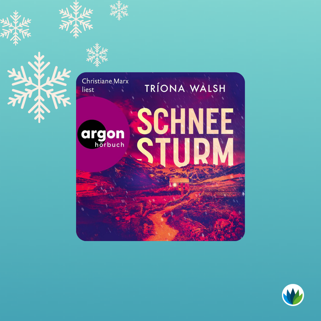 Schneesturm.png