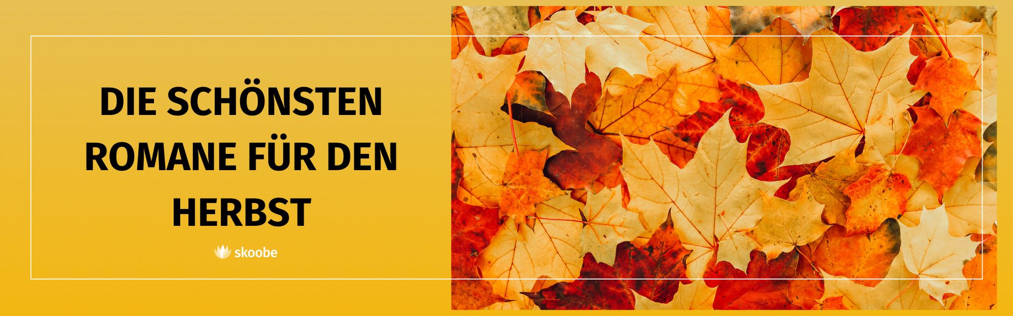 Ein Hintergrund aus bunten Herbstblättern mit deutschem Text auf der linken Seite: Die schönsten Romane für den Herbst und ein kleines Sloobe-Logo unter dem Text.