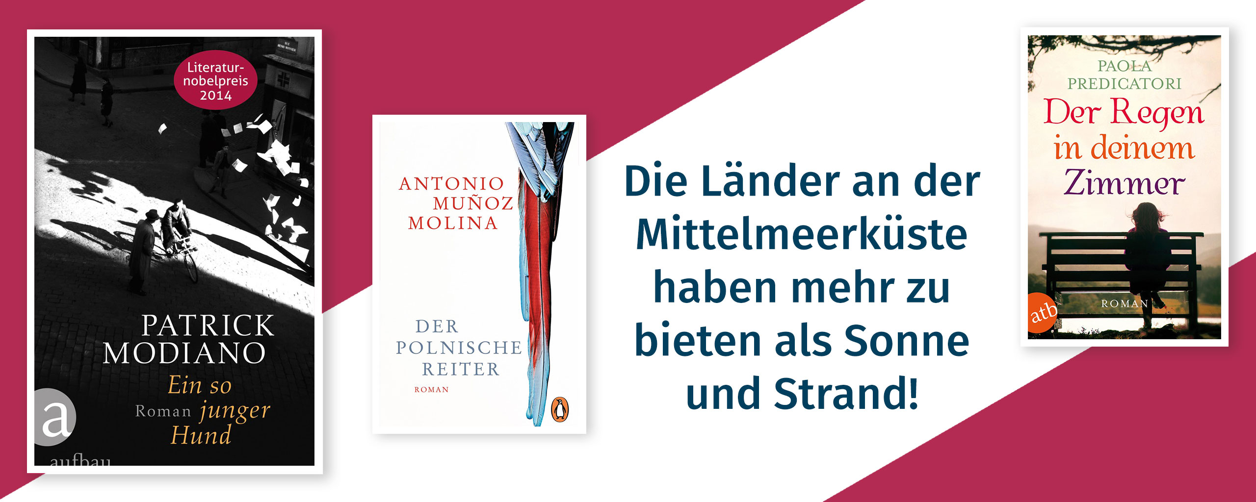 Blog<em>Books1</em>Suedeurope.jpg