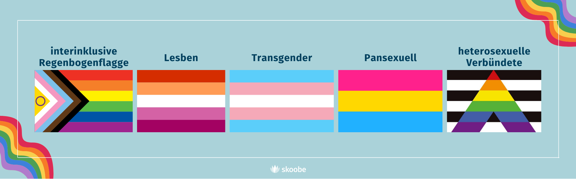 Übersicht über folgende Flaggen: interinklusive Regenbogenflagge, Lesben, Transgender, Pansexuell, heterosexuelle Verbündete