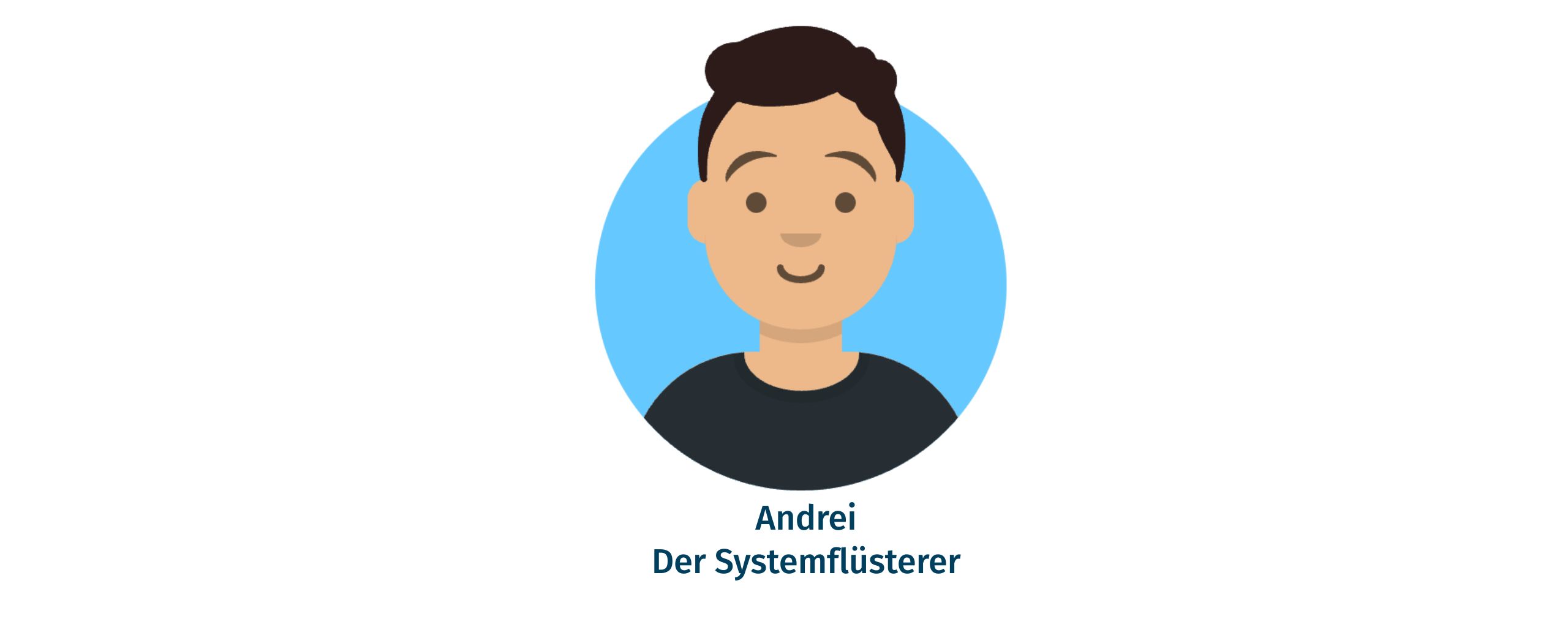 Ein illustrierter Avatar: Andrei Boeru, Der Systemflüsterer.
