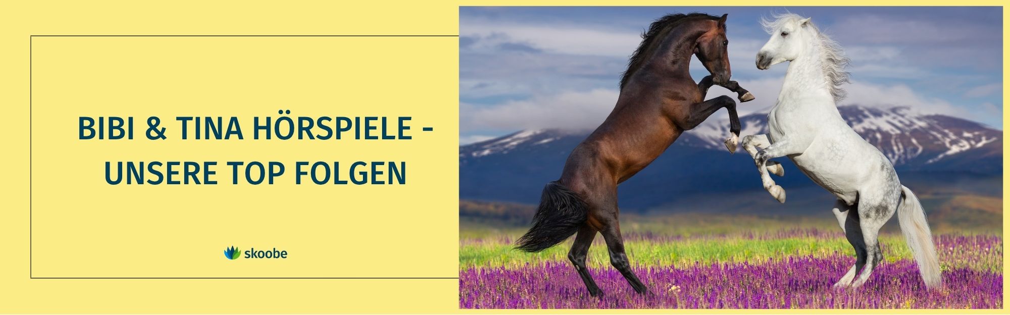 Titel des Artikels und 2 Pferde, ein braunes, ein weißes, die steigen. Vor Bergen und schöner Landschaft.