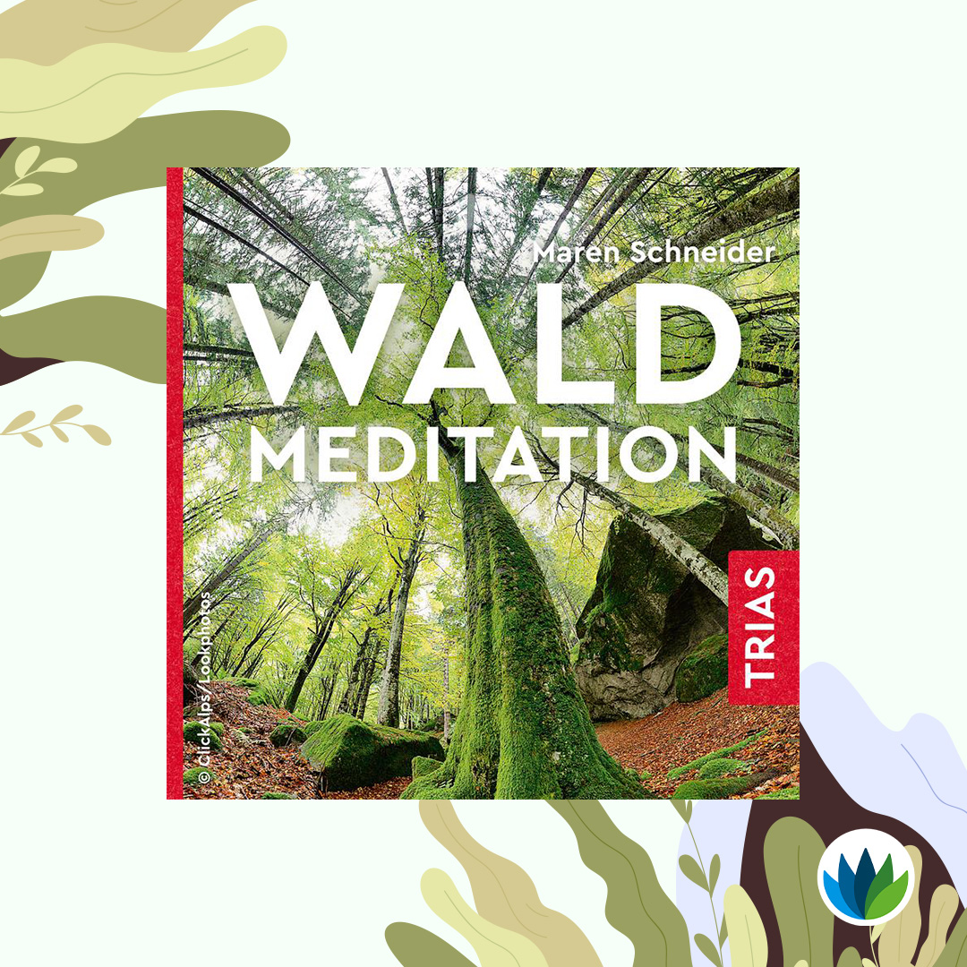 waldmeditation_banner.jpg