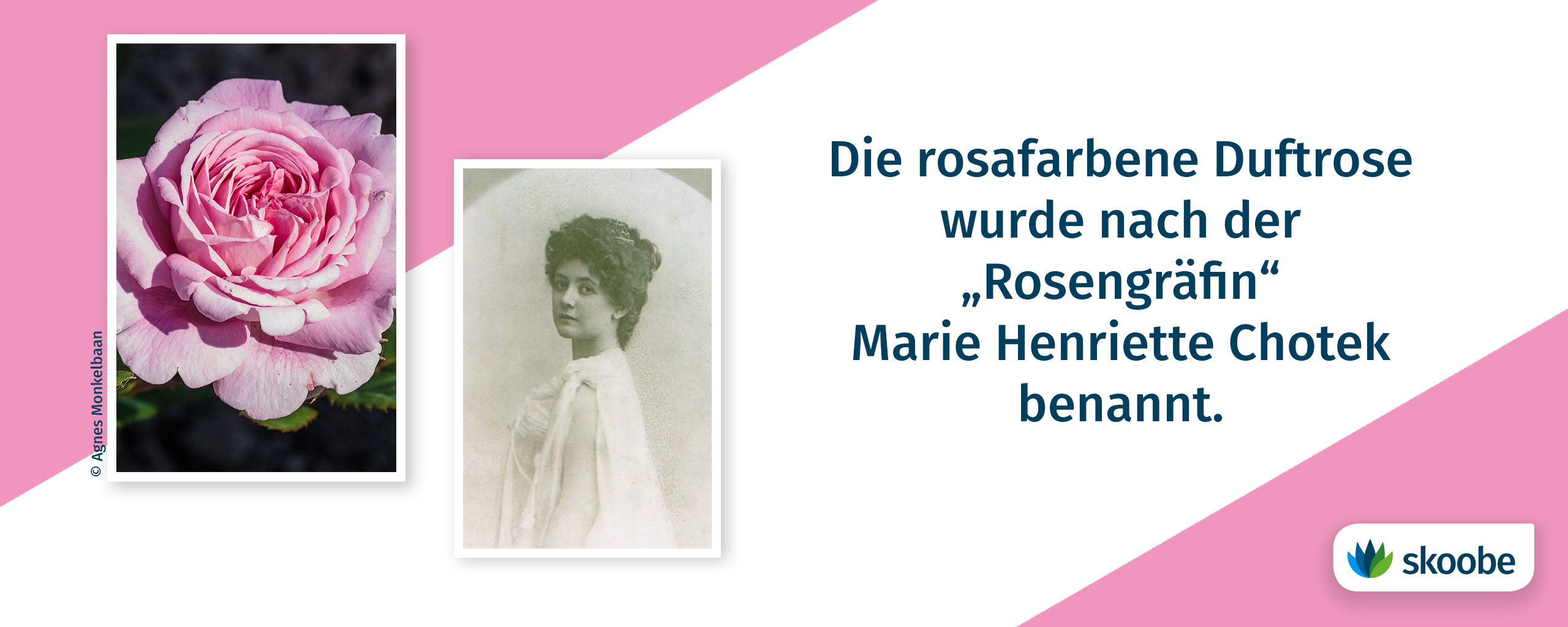 KW23_Blog_Rose_Interview-mit-Nele-Jacobsen.jpg
