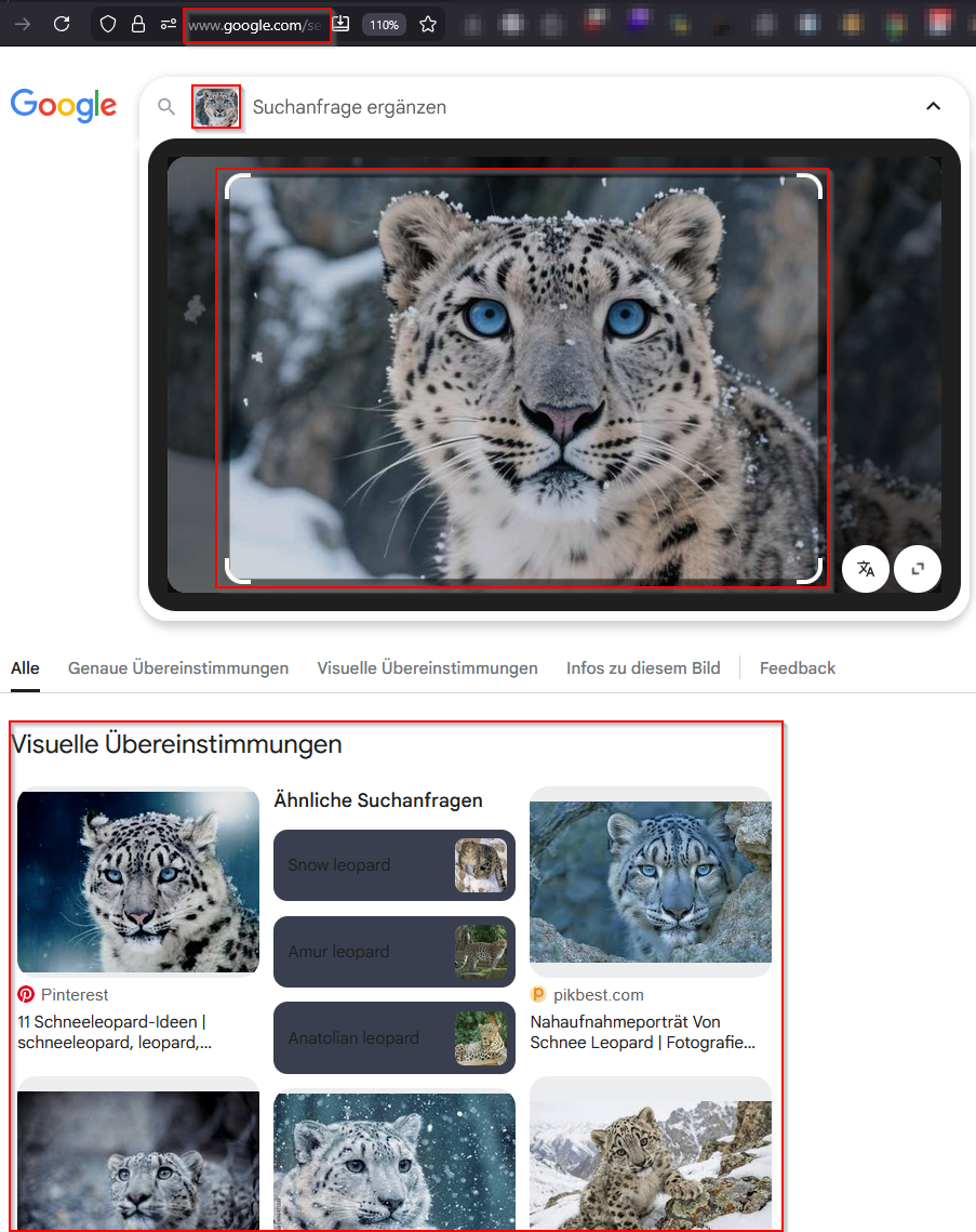 google_reverse_image