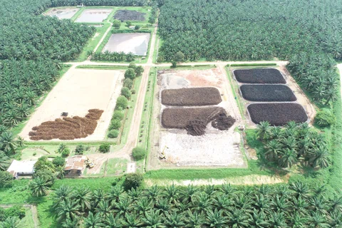 Why MP Evans’ shares are harvesting tasty gains today featured picture