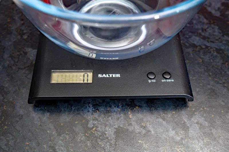 Electronic Salter scales