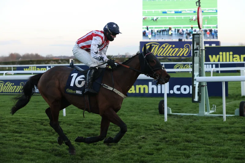 Horse and jockey