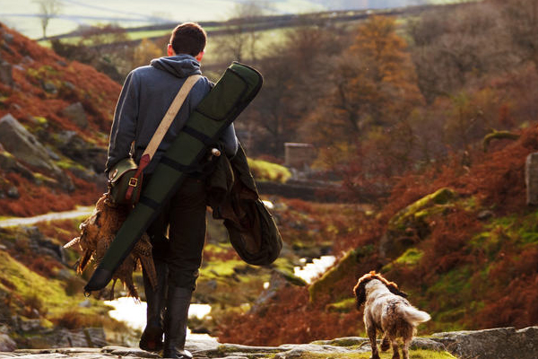 dog_600x400.jpg