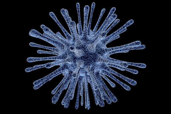 Virus.jpg