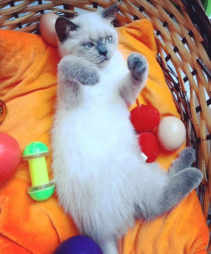 Screenshot 2024-06-07 121846.png