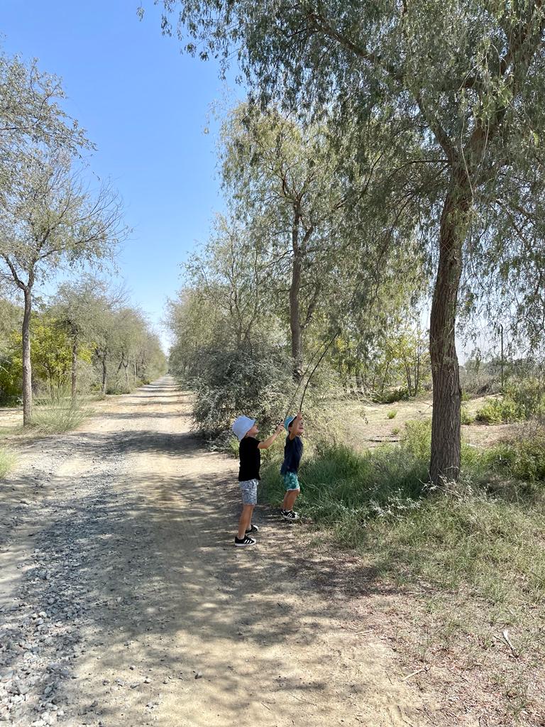 WhatsApp Image 2022-02-21 at 11.57.21 (5).jpeg