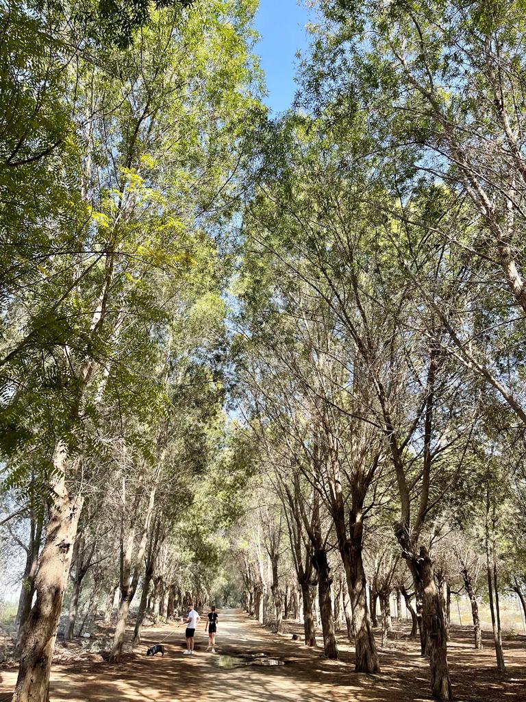 WhatsApp Image 2022-02-21 at 18.04.18.jpeg