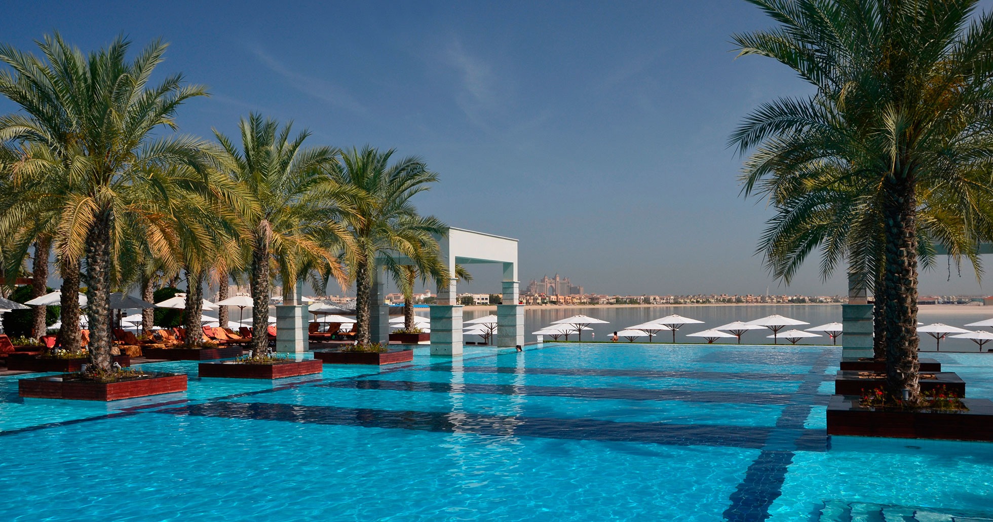 zabeel_1.jpg