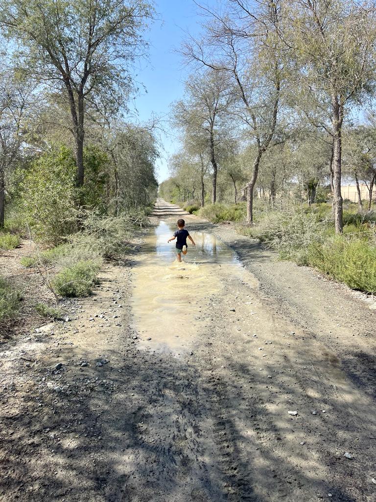 WhatsApp Image 2022-02-21 at 11.57.21 (2).jpeg