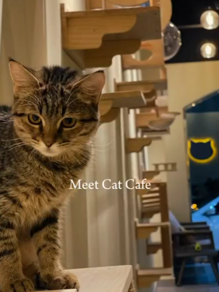 Screenshot 2024-06-07 132012.png