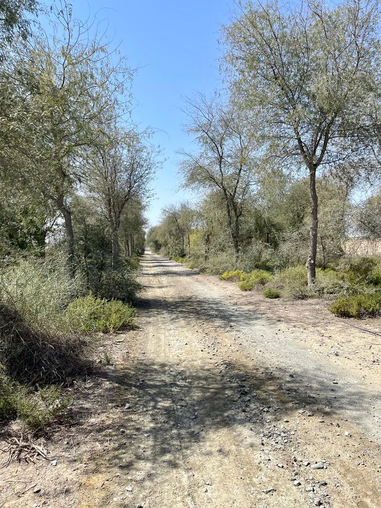 WhatsApp Image 2022-02-21 at 11.57.21 (3).jpeg