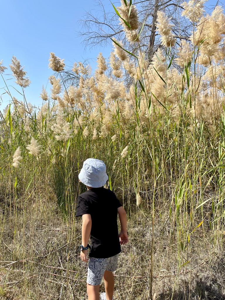 WhatsApp Image 2022-02-21 at 11.57.21 (15).jpeg