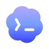 Open AI Codex