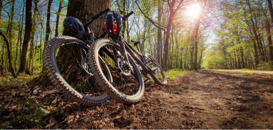 two-mountain-bikes-leaned-on-260nw-1709304922.webp