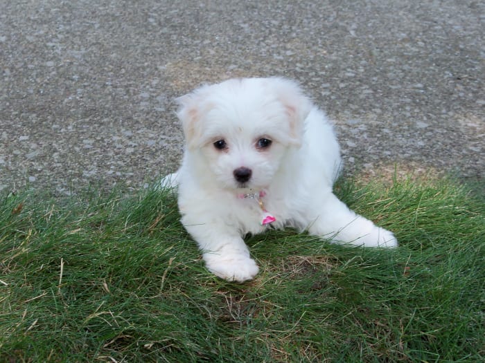 Photo from testimonial by Anonymous