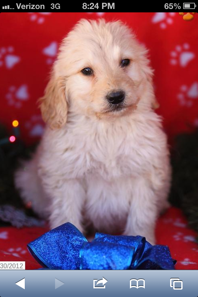 Photo from testimonial by Anonymous