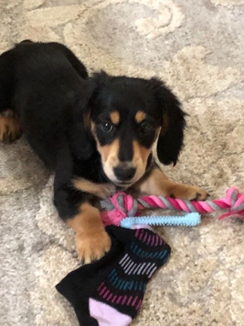 Photo from testimonial by Anonymous