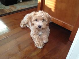 Photo from testimonial by Anonymous