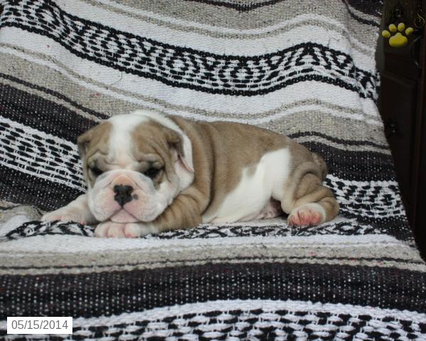 Photo from testimonial by Anonymous