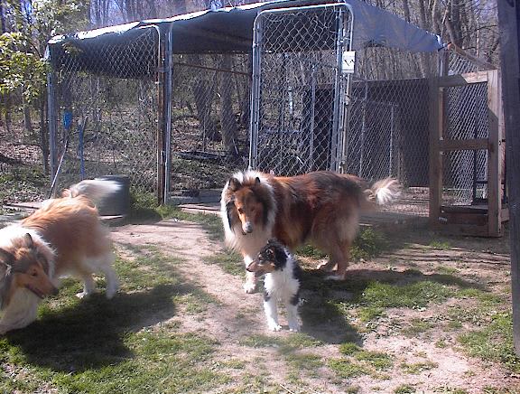 Photo from testimonial by Anonymous