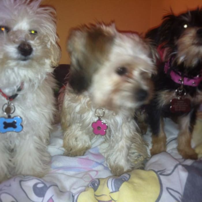 Photo from testimonial by Anonymous