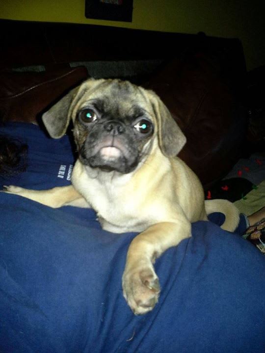 Photo from testimonial by Anonymous