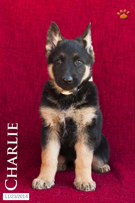 Photo from testimonial by Anonymous